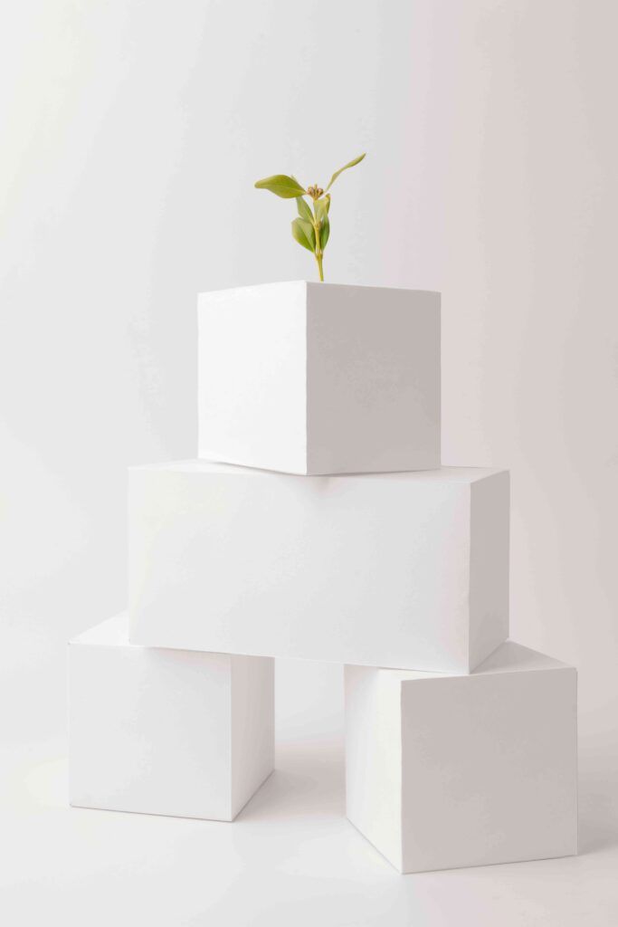 pile de cubes blancs sur un fond blanc avec une pousse de plante verte au sommet représentant l'accompagnement de l'atelier Filigrane