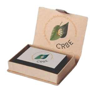 Carte de visite du CRBE réalisée par l'atelier Filigrane