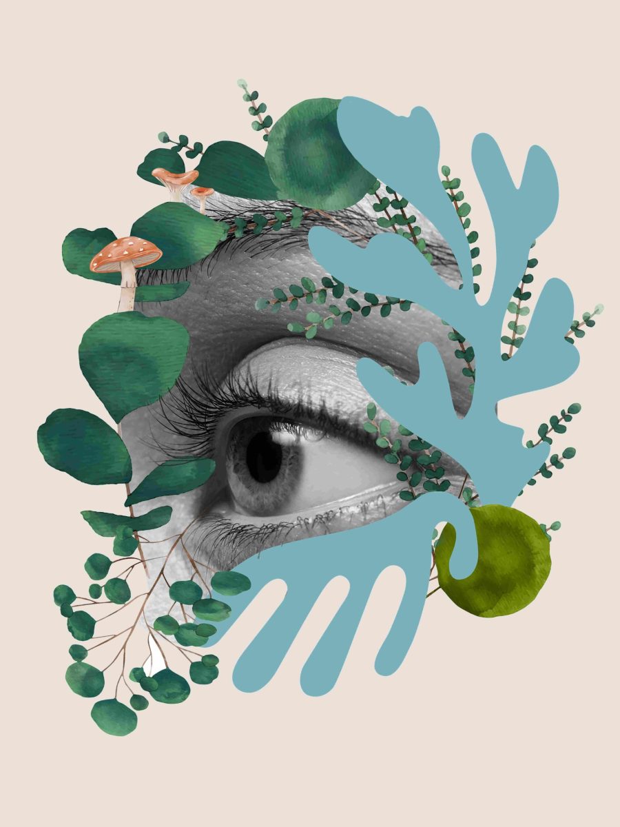 Photomontage collage d'un oeil et d'illustrations organiques  liées à des éléments de la nature
